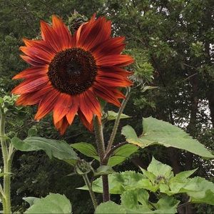 Meet your Posher, Tanya